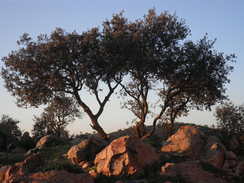 Oued Zem – Khemisset