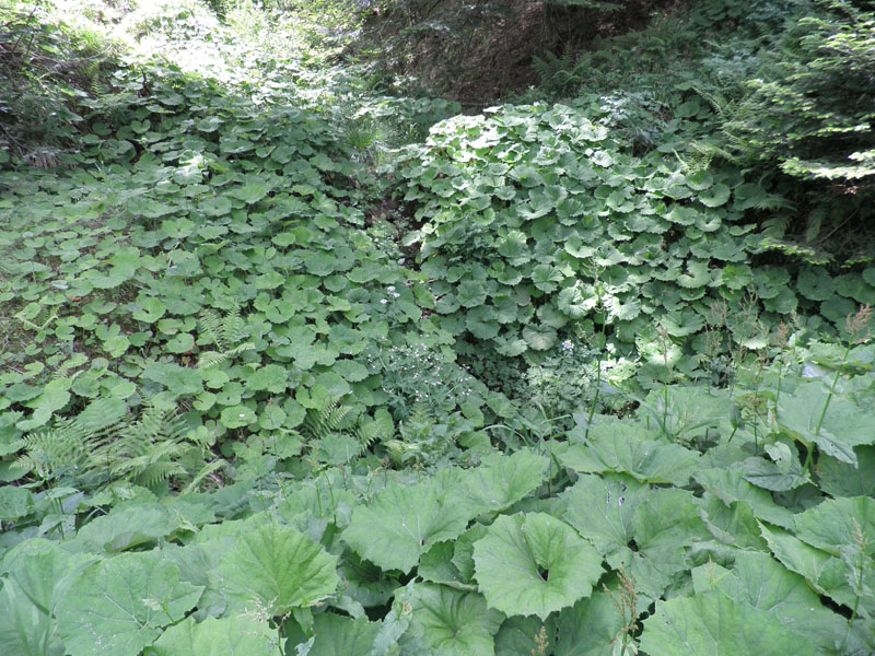 Saint Loubert – Le Mont-Dore