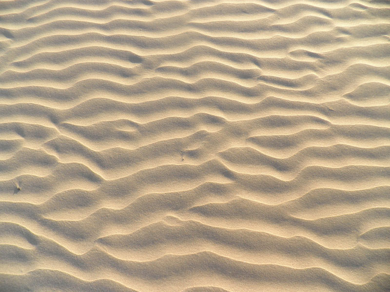 Tarfaya
