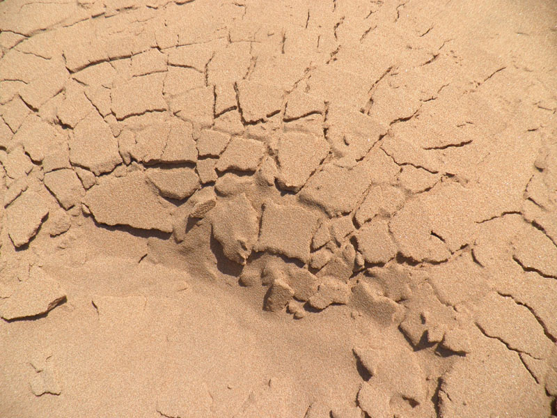 Tarfaya – El Ouatia